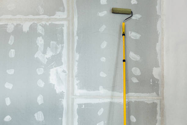 Mold Documentation for Insurance Claims in Sheridan, IN