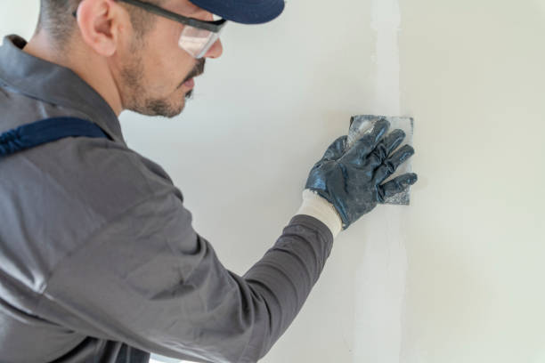 Best Post-Remediation Verification Testing  in Sheridan, IN