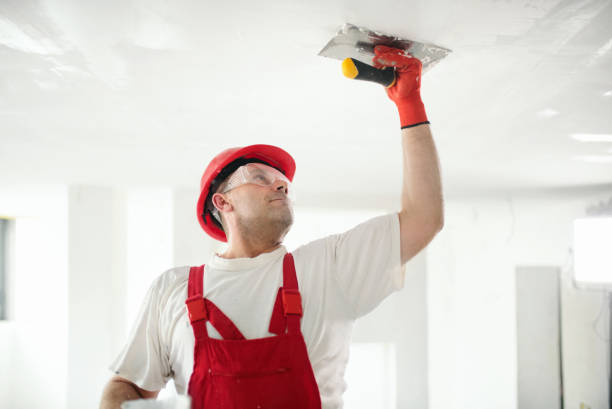 Best Basement Mold Removal  in Sheridan, IN
