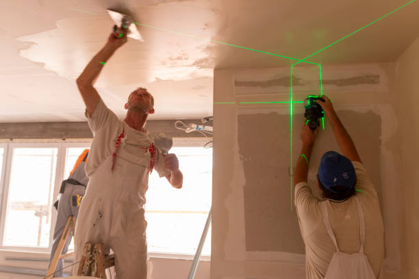 Best Black Mold Removal  in Sheridan, IN
