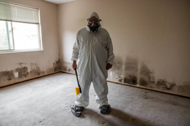 Best Residential Mold Inspection & Testing  in Sheridan, IN